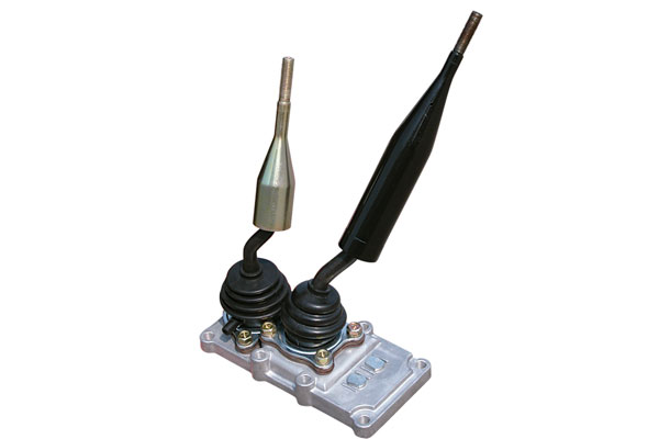 �������X���(q��)